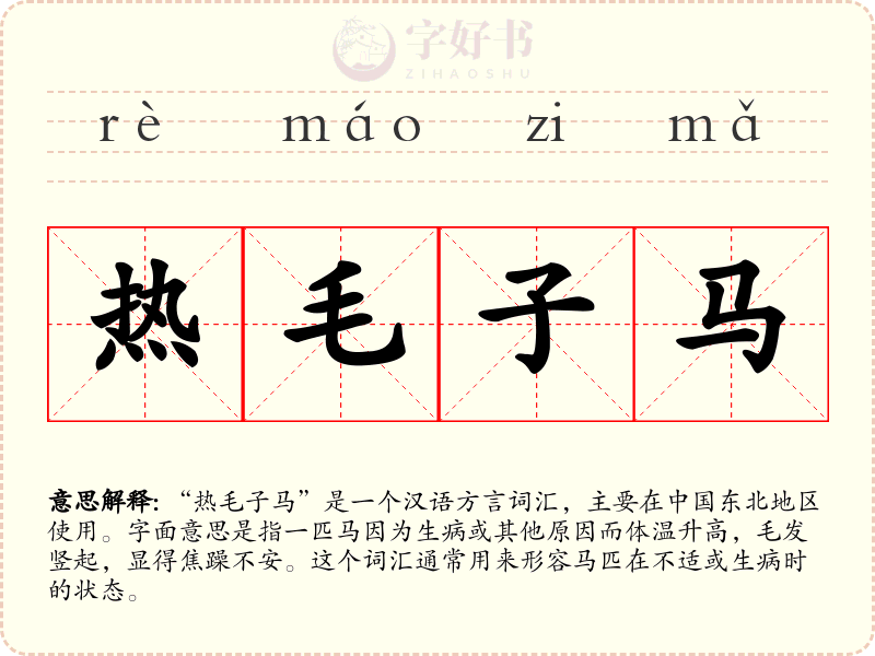 热毛子马