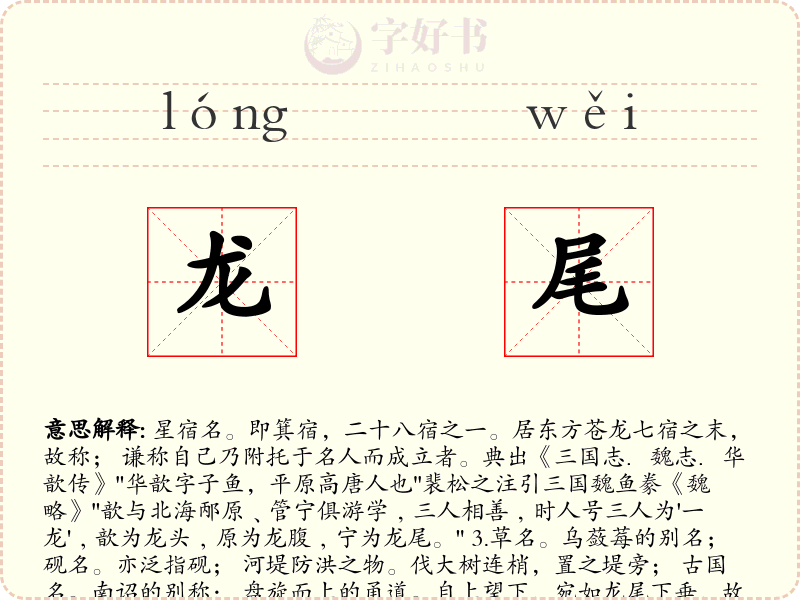 龙尾