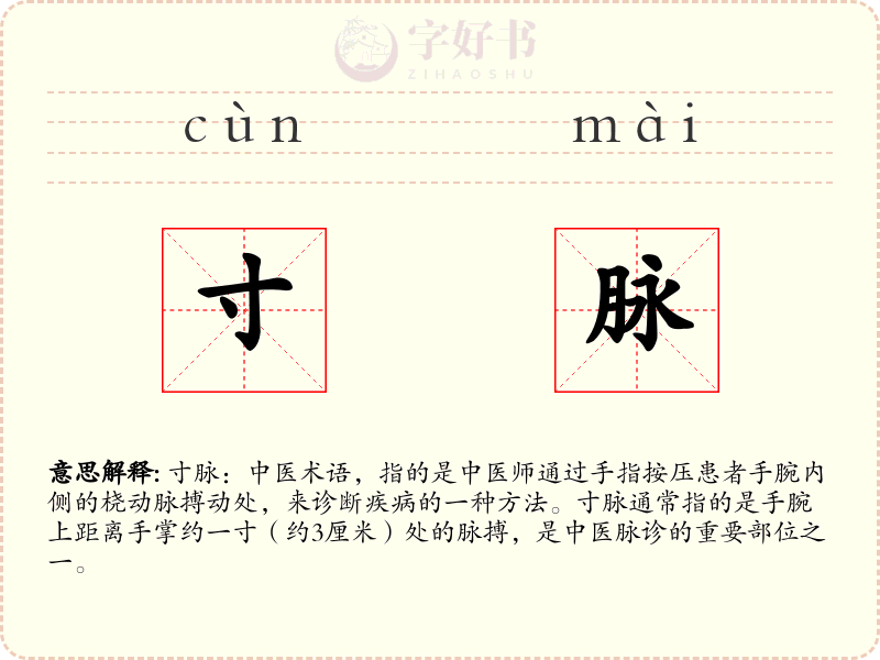寸脉