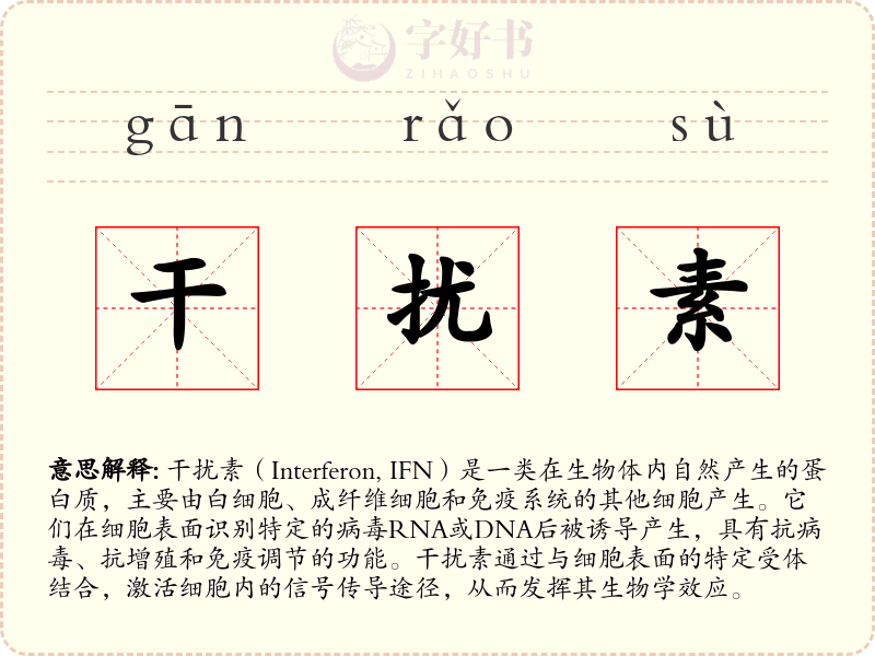 干扰素