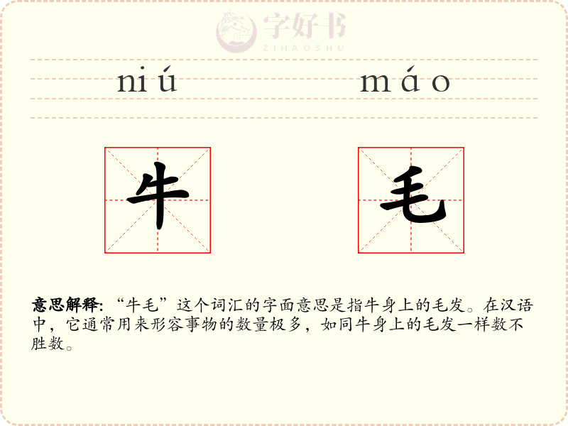 牛毛