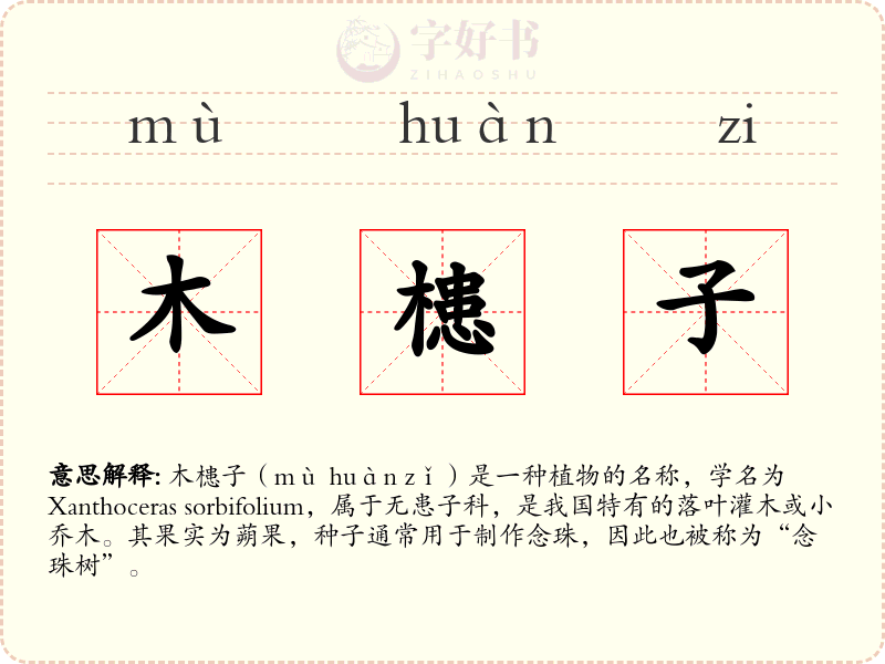 木槵子