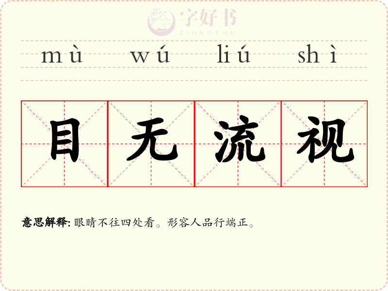 目无流视