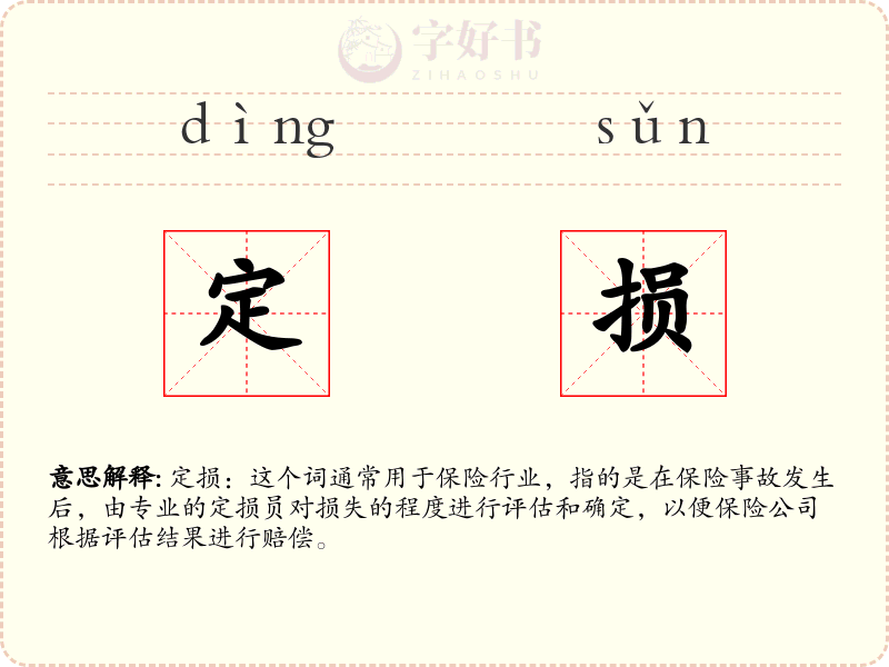 定损
