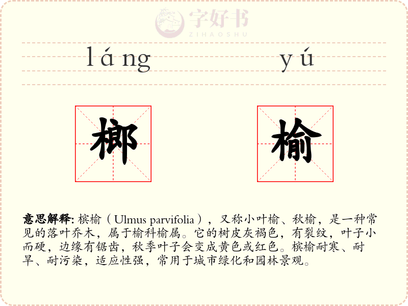 榔榆