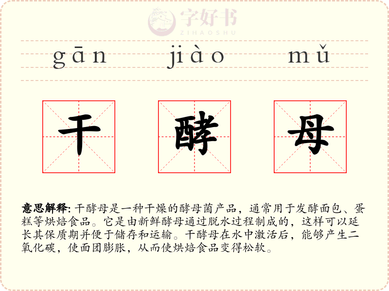 干酵母