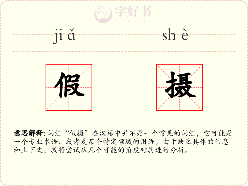 假摄