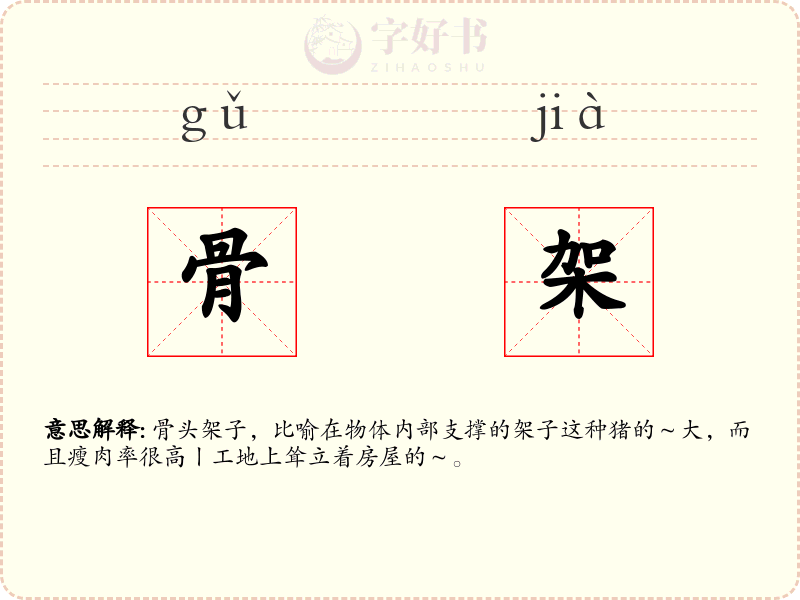 骨架