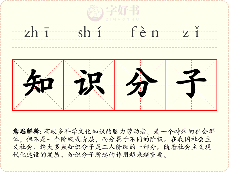 知识分子