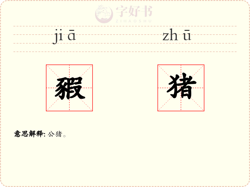 豭猪