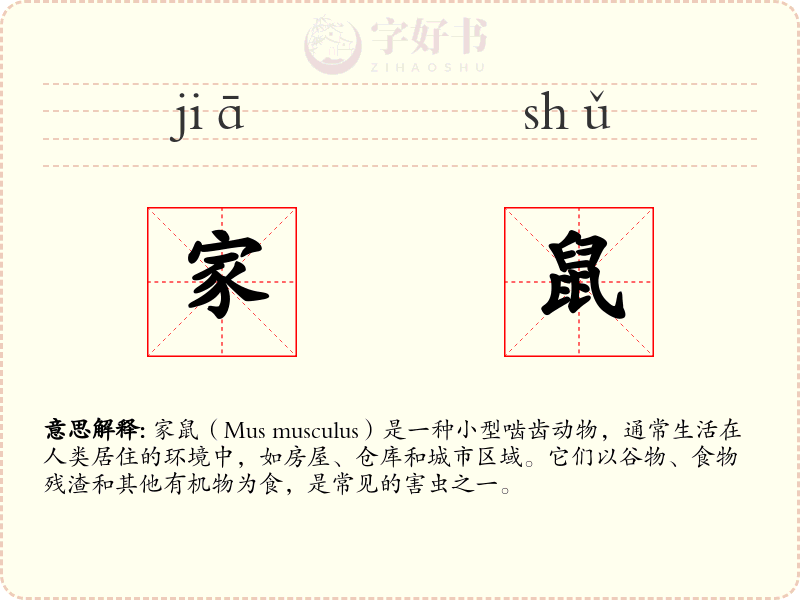家鼠