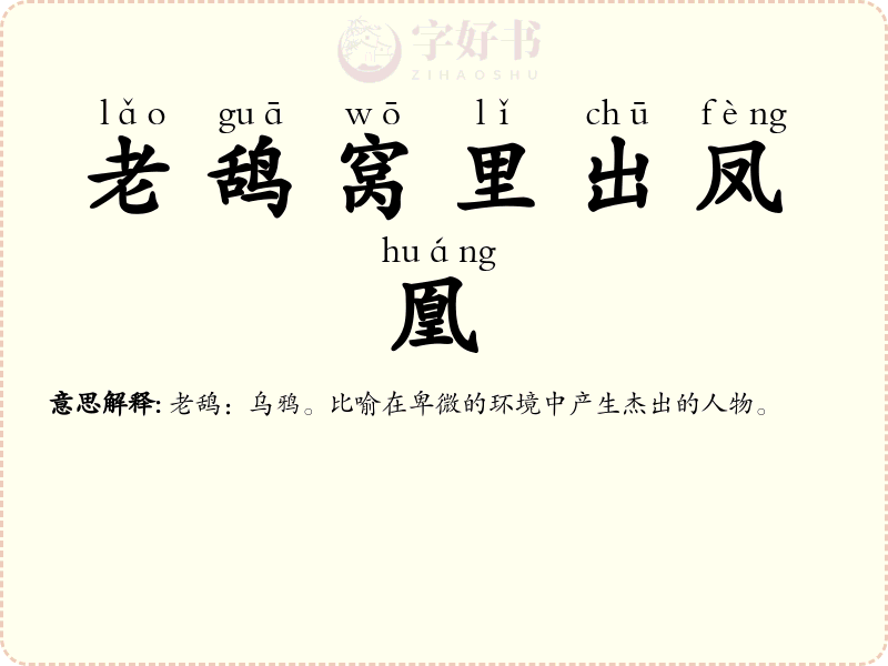 老鸹窝里出凤凰