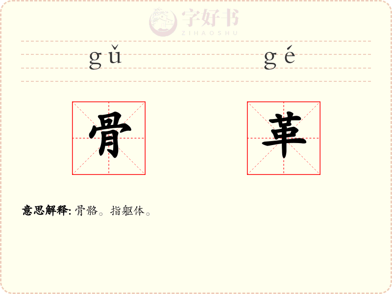 骨革