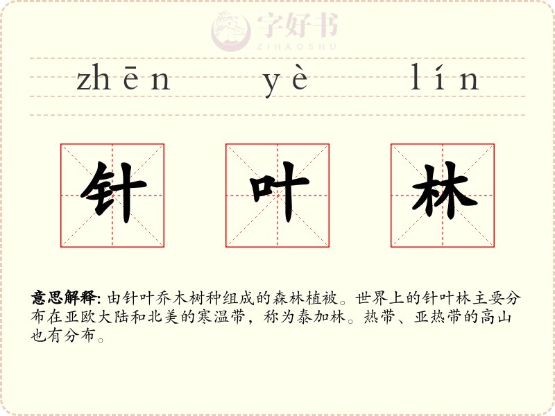 针叶林