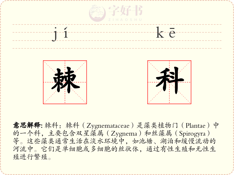 棘科