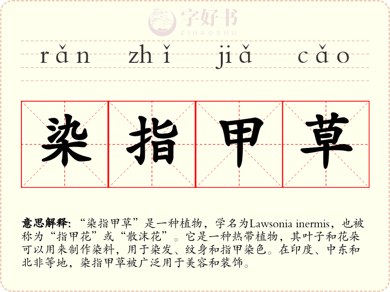 染指甲草