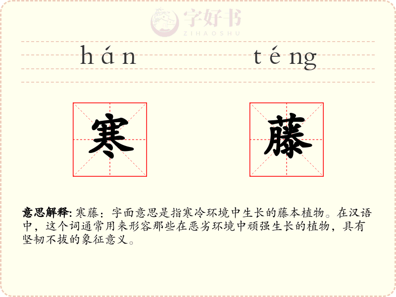 寒藤