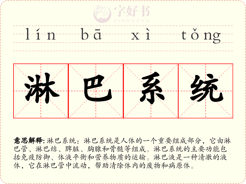 淋巴系统