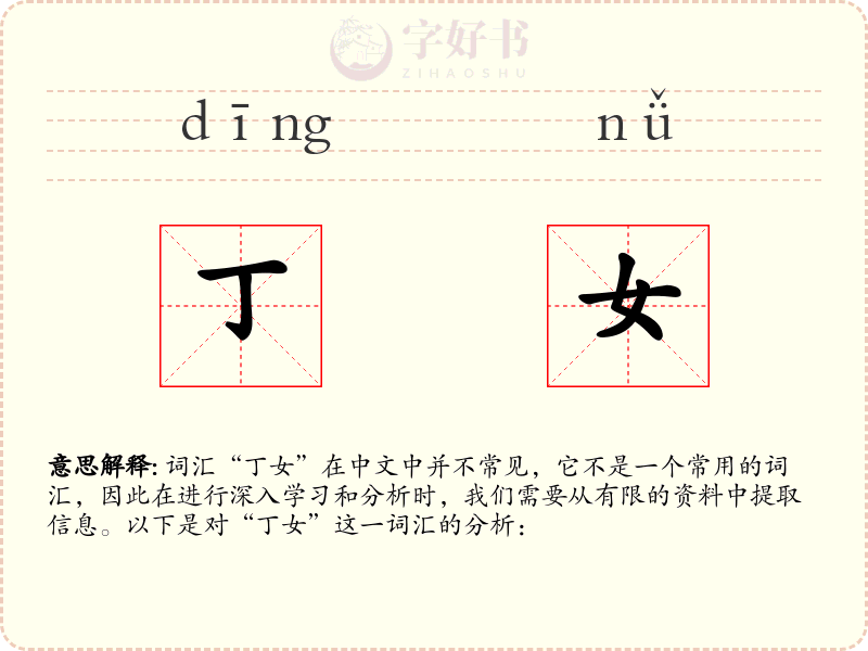 丁女