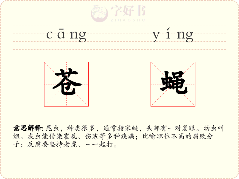 苍蝇