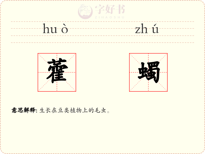 藿蠋