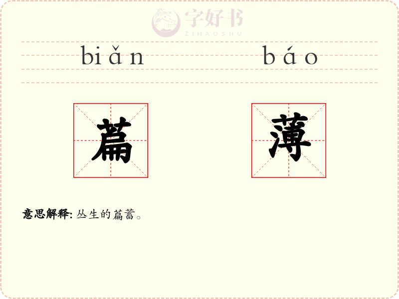 萹薄