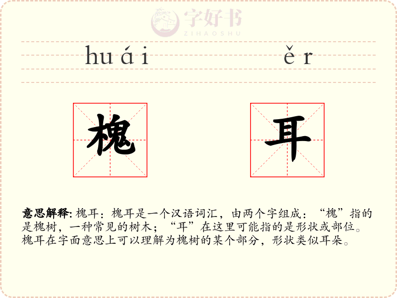 槐耳