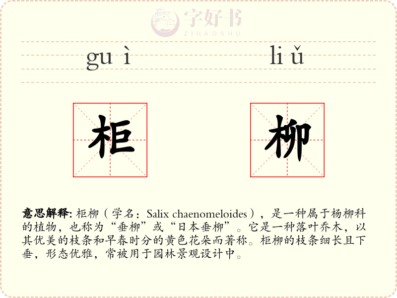 柜柳