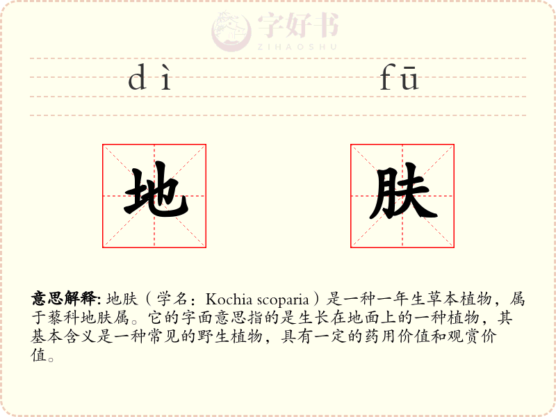 地肤