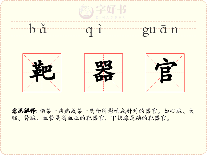 靶器官