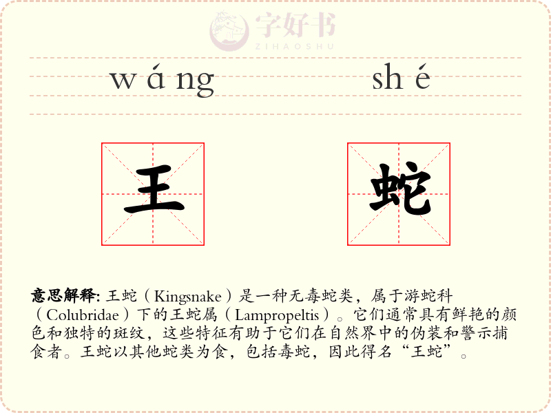 王蛇