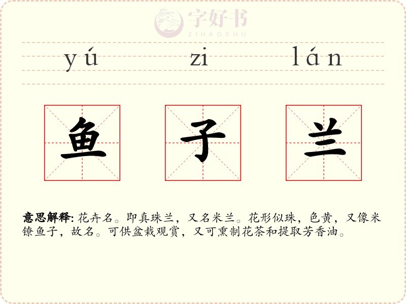 鱼子兰