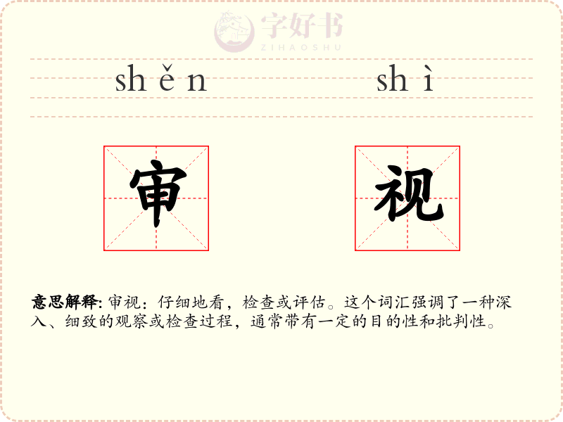 审视