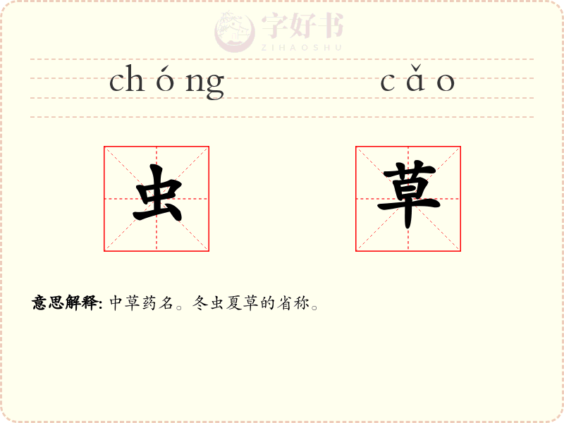 虫草