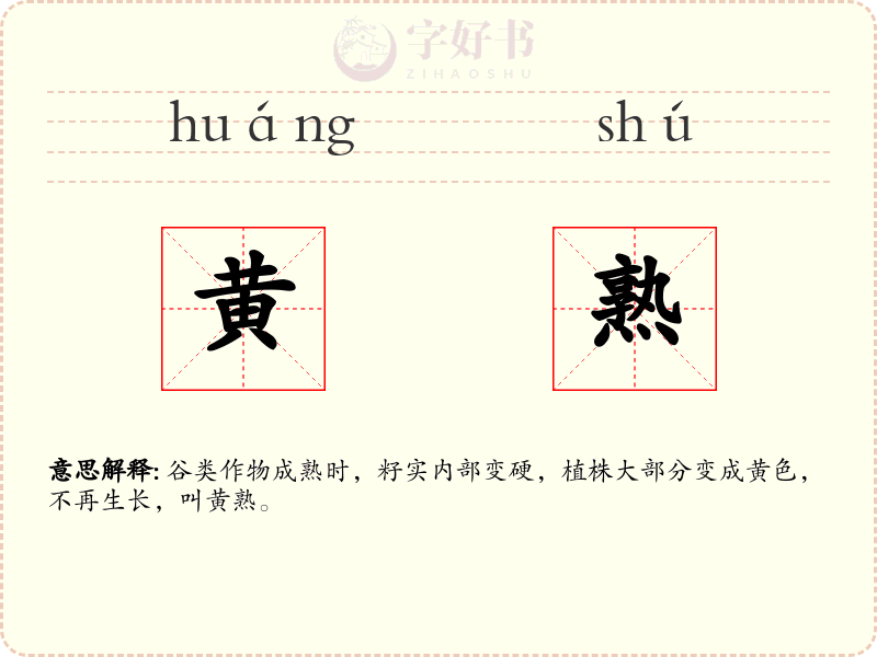 黄熟