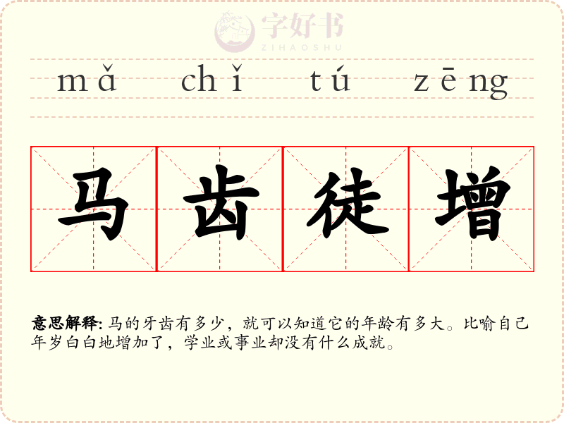 马齿徒增