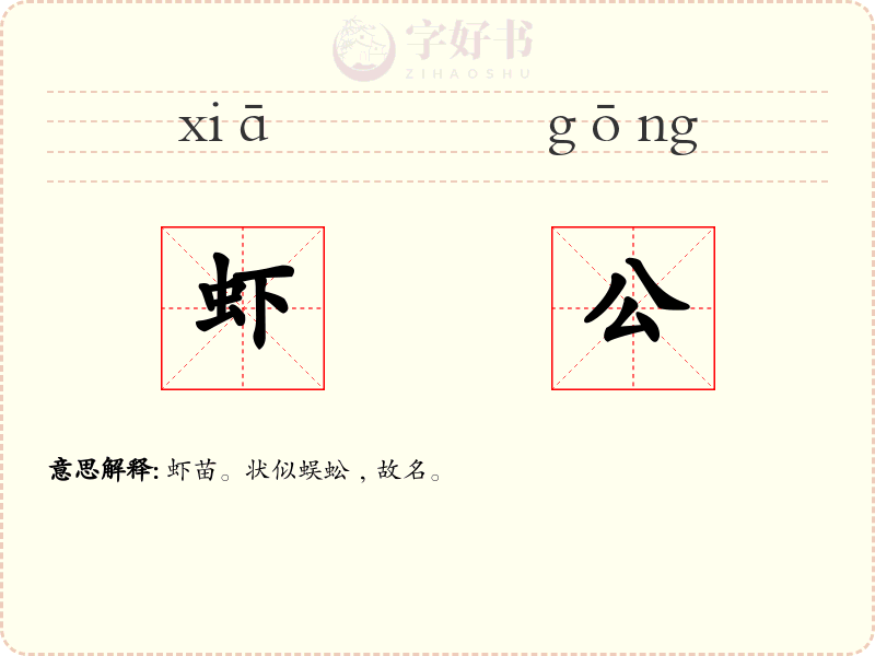 虾公