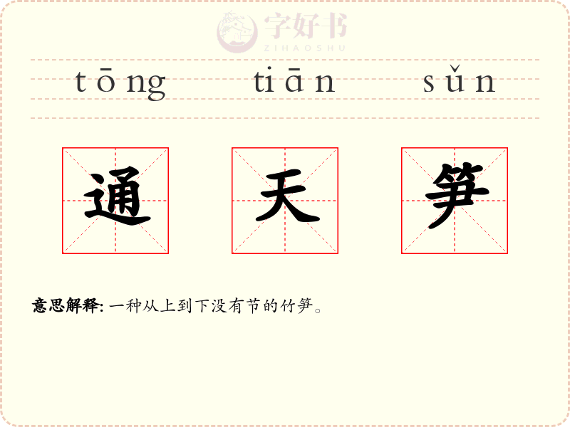 通天笋