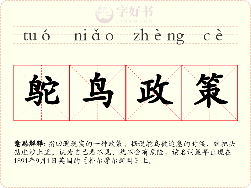 鸵鸟政策