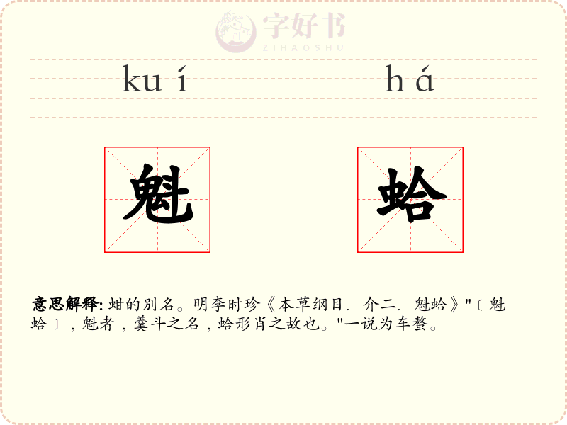 魁蛤