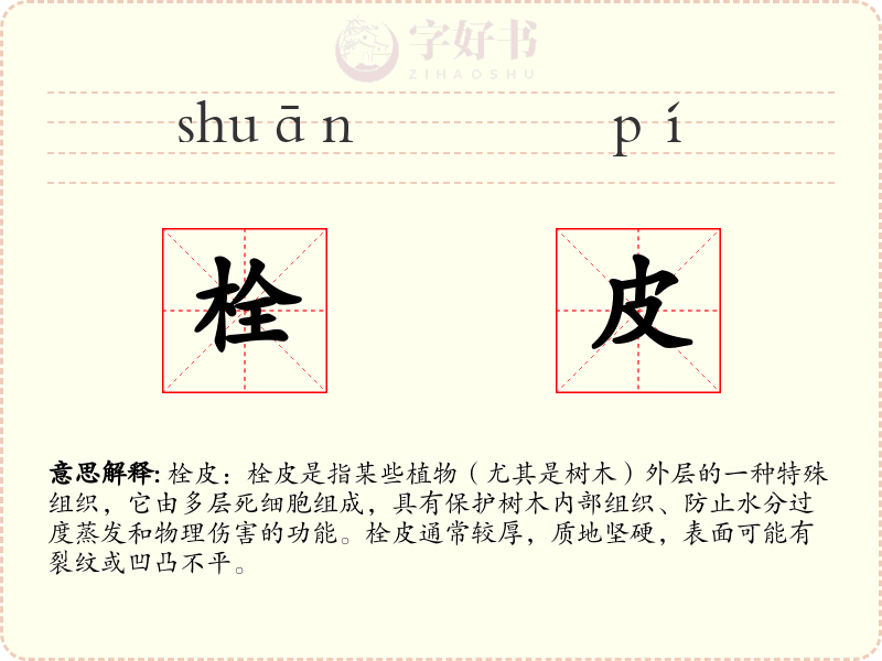 栓皮