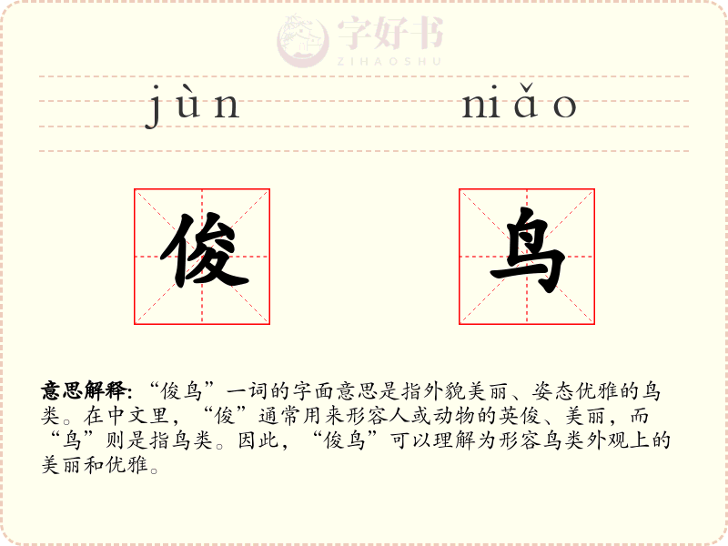 俊鸟