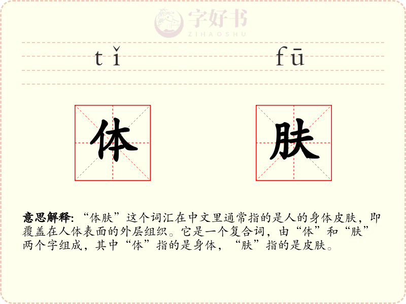 体肤