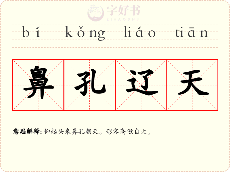 鼻孔辽天