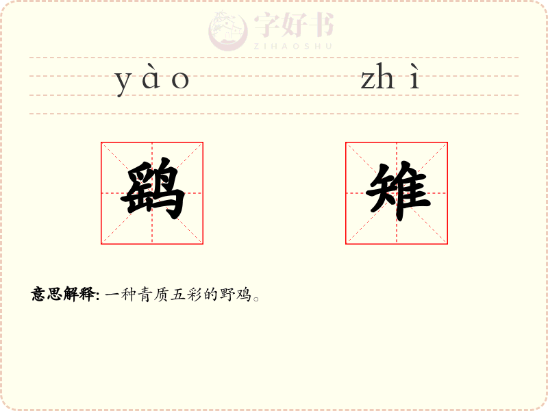 鹞雉