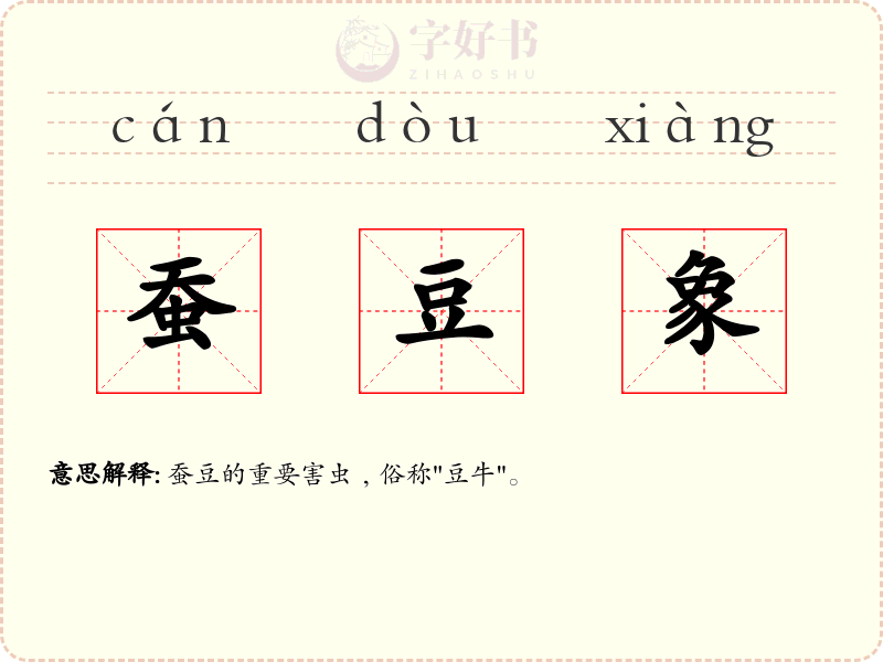 蚕豆象