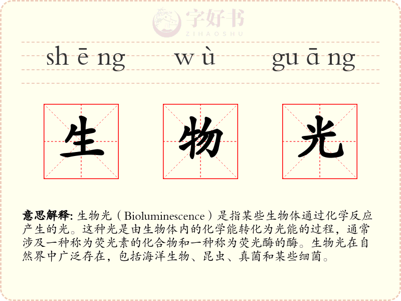 生物光