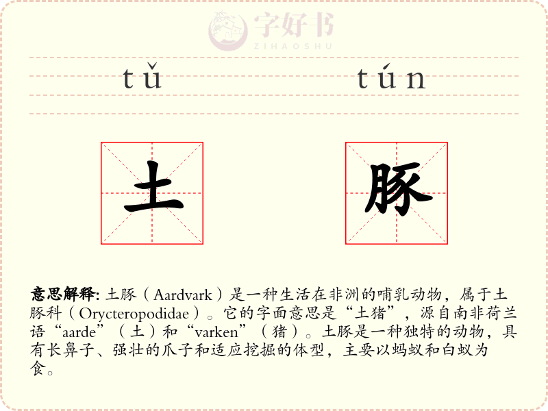 土豚