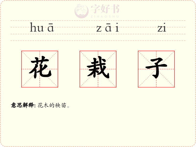 花栽子