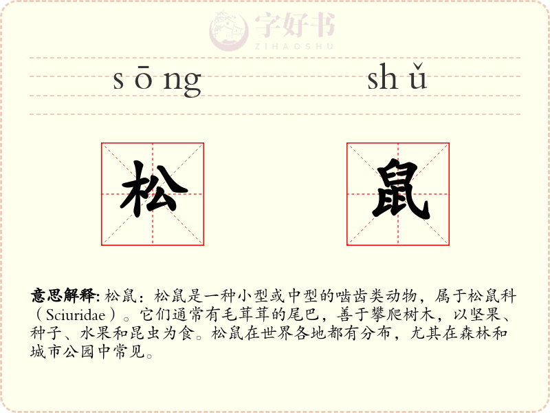 松鼠
